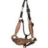 Rockn' Wilsons Spotted Laredo Bronc Halter