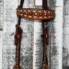 Circle Y Buckstitch & Cactus Browband Headstall