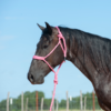 Cashel Pink Flat Braid Halter & Leadrope