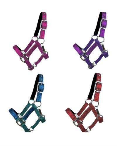 Pony Size Glitter Halter w/ Neoprene Lined Nose & Crown