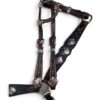 Rockn' Wilsons Black Elephant w/ Arrow Conchos