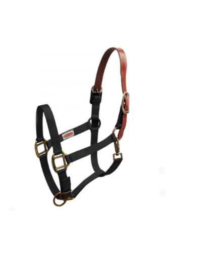 Horse Size Nylon Breakaway Halter
