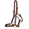 Leather Halter With Solid Brass Hardware