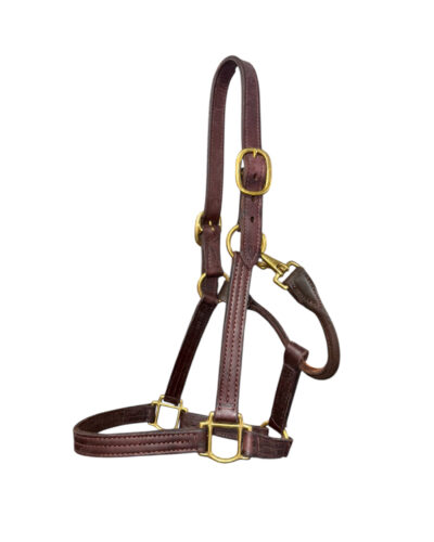 Leather Halter With Solid Brass Hardware