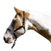 Blocker Control Halter- Yearling Size