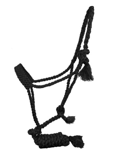 Alternative view of Woven Nylon Halter w/ 8ft Removable Lead