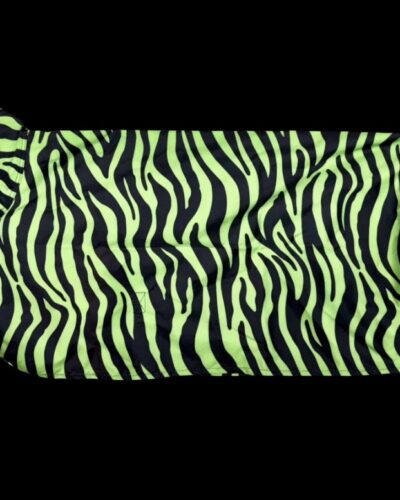 Tough 1 Lime Zebra Sheep Blanket