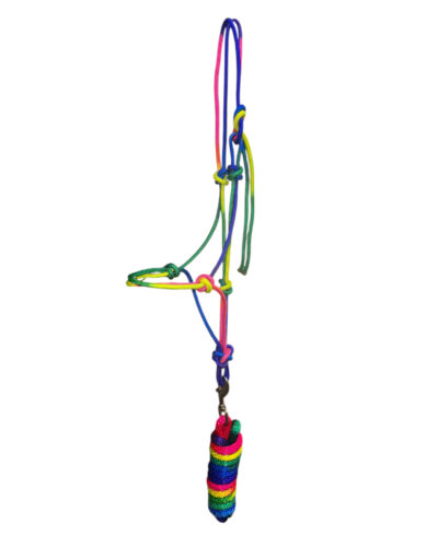 Rainbow Rope Halter w/ Matching Lead Rope