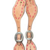 Pink Buckstitched Ladies Size Roughout Spur Straps