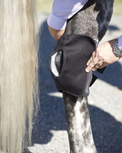 Ice Horse Hock Wraps - Image 4