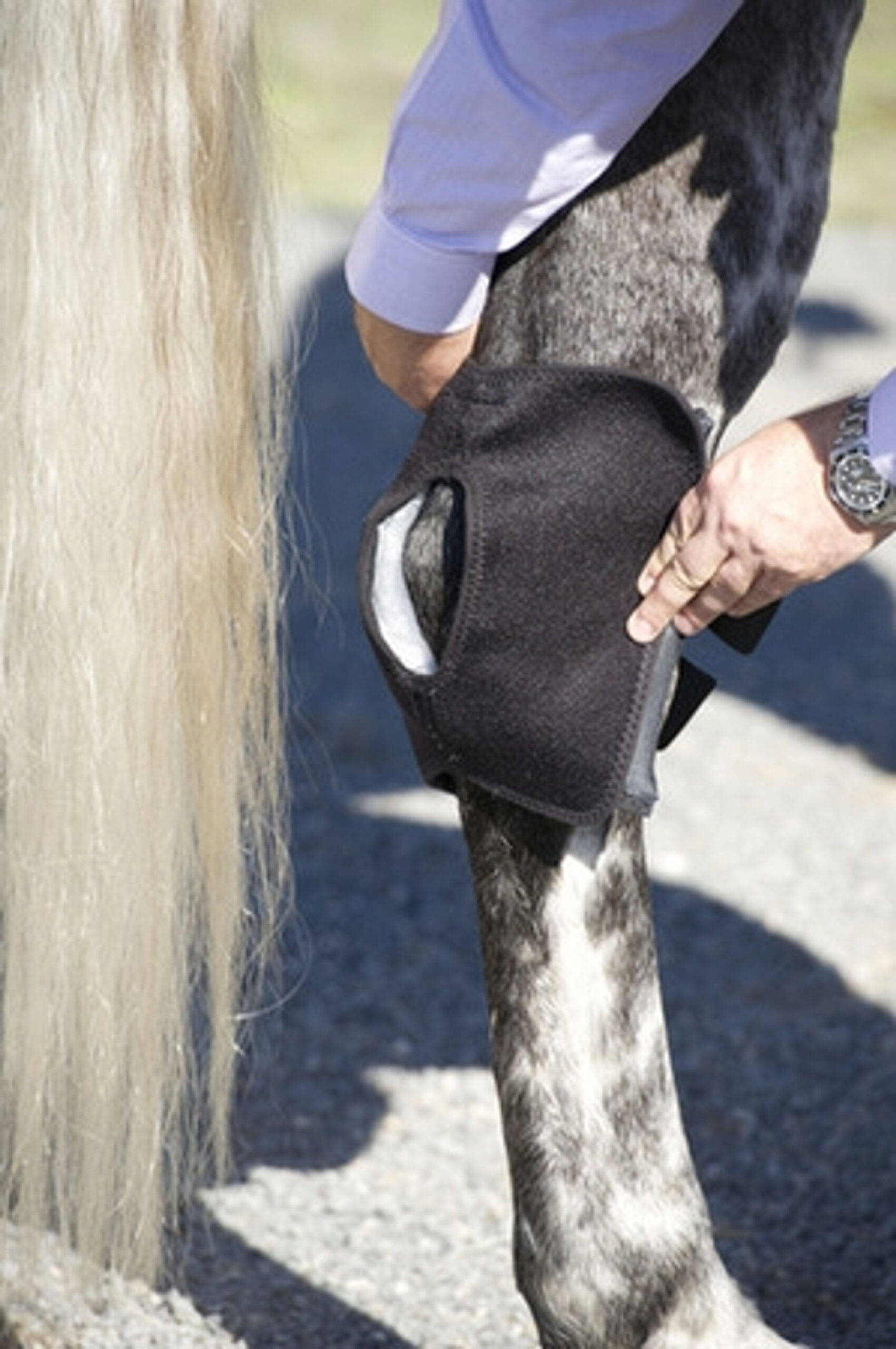 Ice Horse Hock Wraps - Image 4