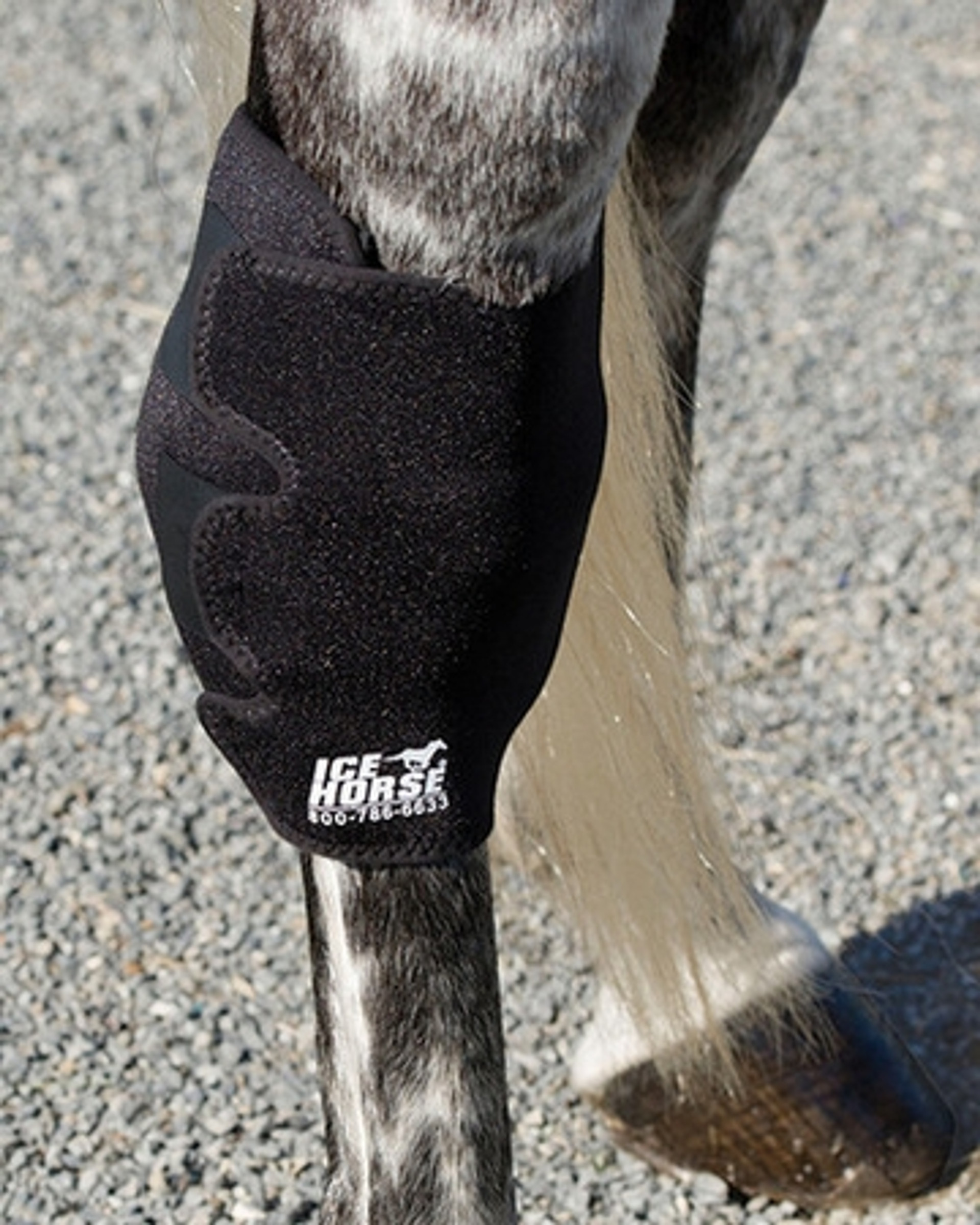 Ice Horse Hock Wraps