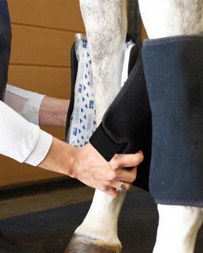 Ice Horse Tendon Wraps - Image 3