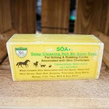 Alternative view of SOA Itch Be Gone Bar Soap