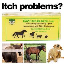 SOA Itch Be Gone Bar Soap - Image 3