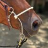 Reinsman Martha Josey Short Shank Million Dollar Hackamore
