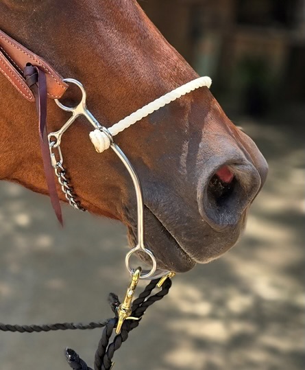 Reinsman Martha Josey Short Shank Million Dollar Hackamore – Jopps Tack