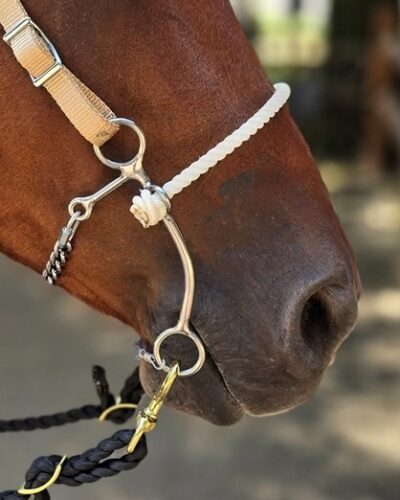 Alternative view of Reinsman Martha Josey Short Shank Million Dollar Hackamore