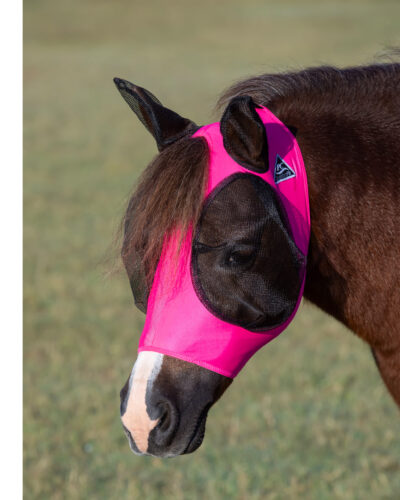 Professionals Choice Comfort Fit Lycra Fly Mask - Image 5