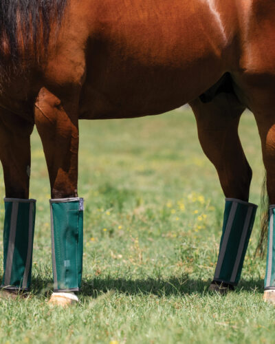 Professionals Choice Deluxe Fly Boots