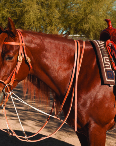 Professionals Choice German Martingale