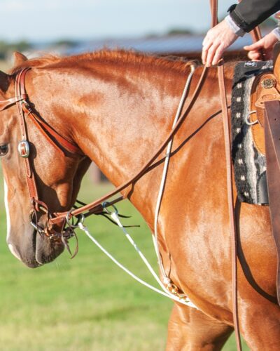 Martin String Martingale