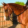 Professionals Choice Draw Rope Martingale “The Black Rope”