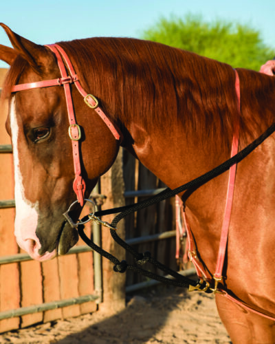 Professionals Choice Draw Rope Martingale “The Black Rope”