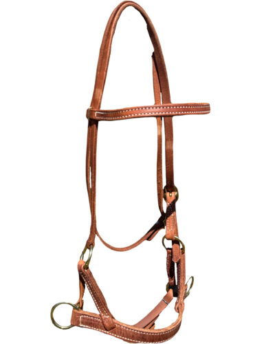 All Leather Sidepull