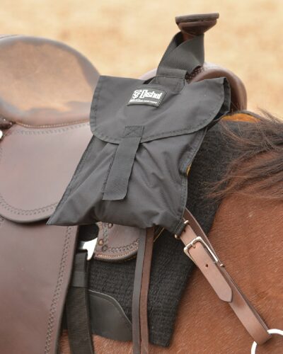 Alternative view of Cashel Step-Up Stirrup
