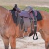 Cashel Step-Up Stirrup