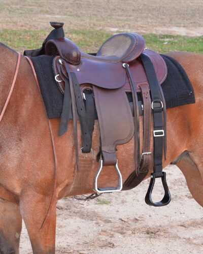 Cashel Step-Up Stirrup