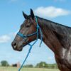 Cashel Blue Flat Braided Halter w/ Lead Rope