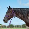 Cashel Purple Flat Braided Halter w/ Lead Rope