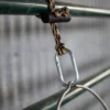 Hay Chix Bucket Strap