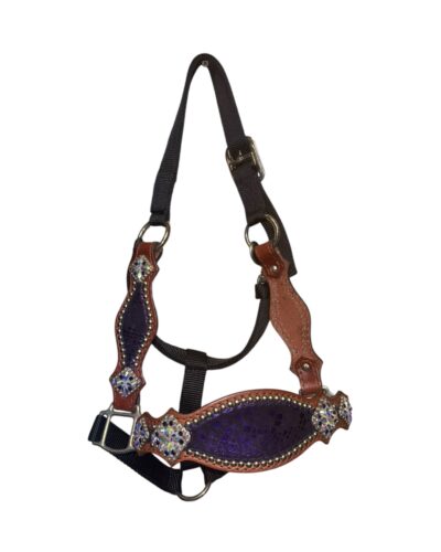 Rockn’ Wilsons Purple Mystic Bronc Halter
