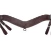 Horseman’s Supply Heavy Oiled Harness Leather Tripping Collar