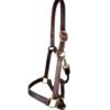 Horse Size Leather 1’’ Track Halter