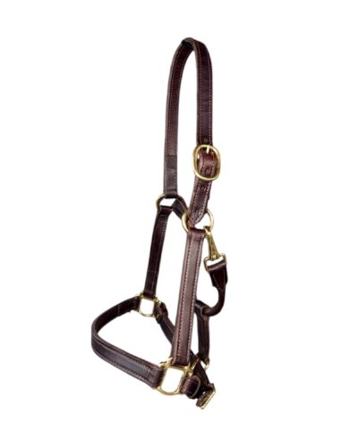 Horse Size Leather 1’’ Track Halter