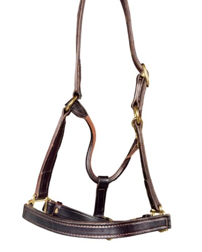 Alternative view of Horse Size Leather 1’’ Track Halter
