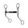 Reinsman Easy Rider Sweet Iron Modified Billy Allen Bit