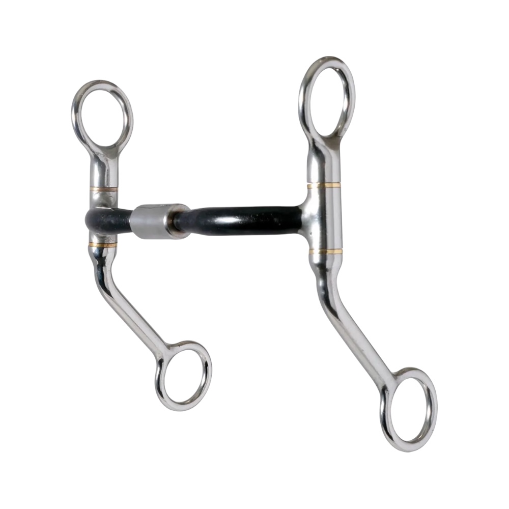 Reinsman Easy Rider Sweet Iron Modified Billy Allen Bit