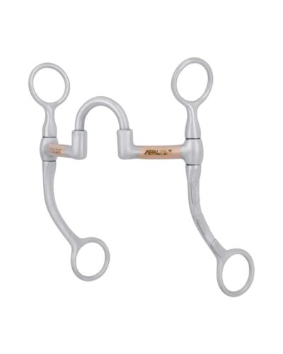 FG Correctional Bit