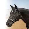 Professionals Choice Infinity Braid Browband Headstall
