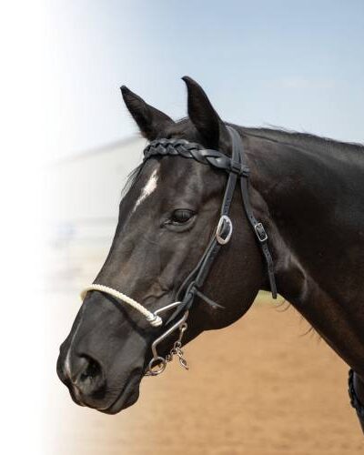 Professionals Choice Infinity Braid Browband Headstall