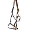 Leather Halter with Braided Noseband and Cheeks