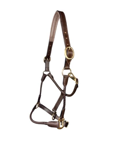 Leather Halter with Braided Noseband and Cheeks