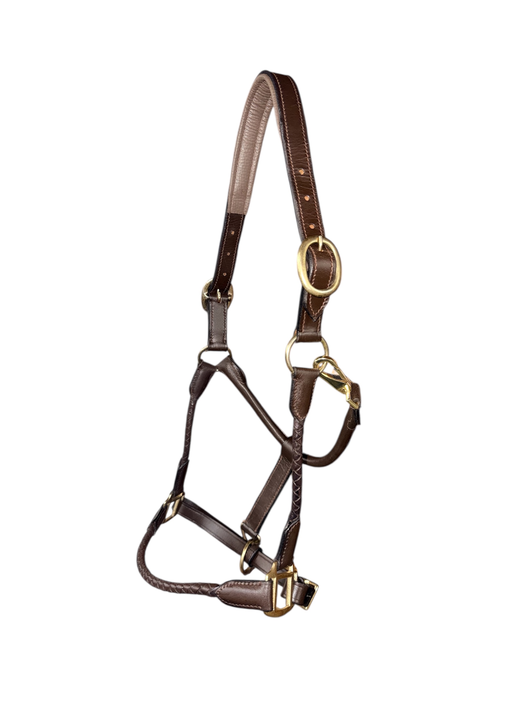 Leather Halter with Braided Noseband and Cheeks