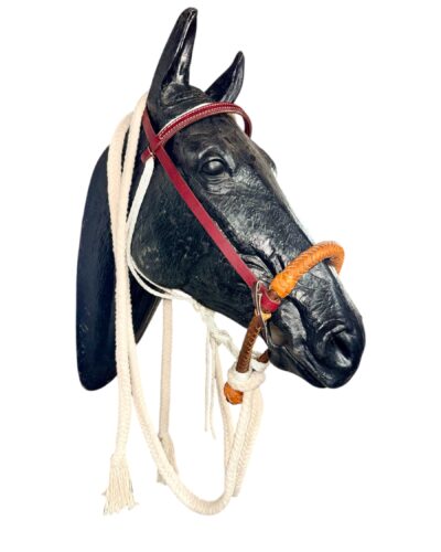 Braided Leather Bosal Breaking Bridle