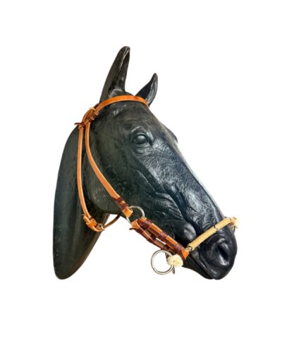 Leather Sidepull with Rawhide Braided Noseband